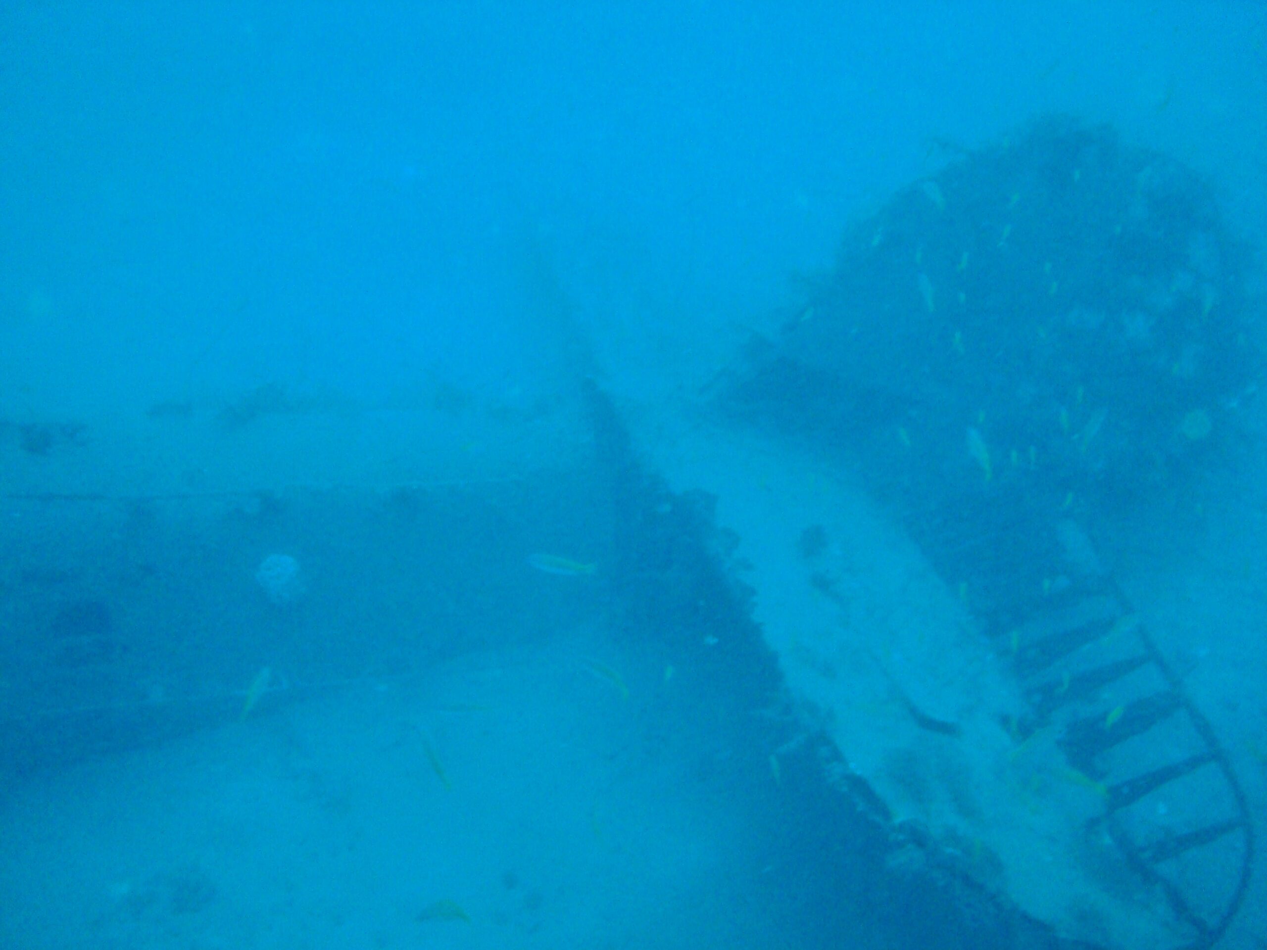 An underwater photo of the fuselage of a plane on the sea floor.