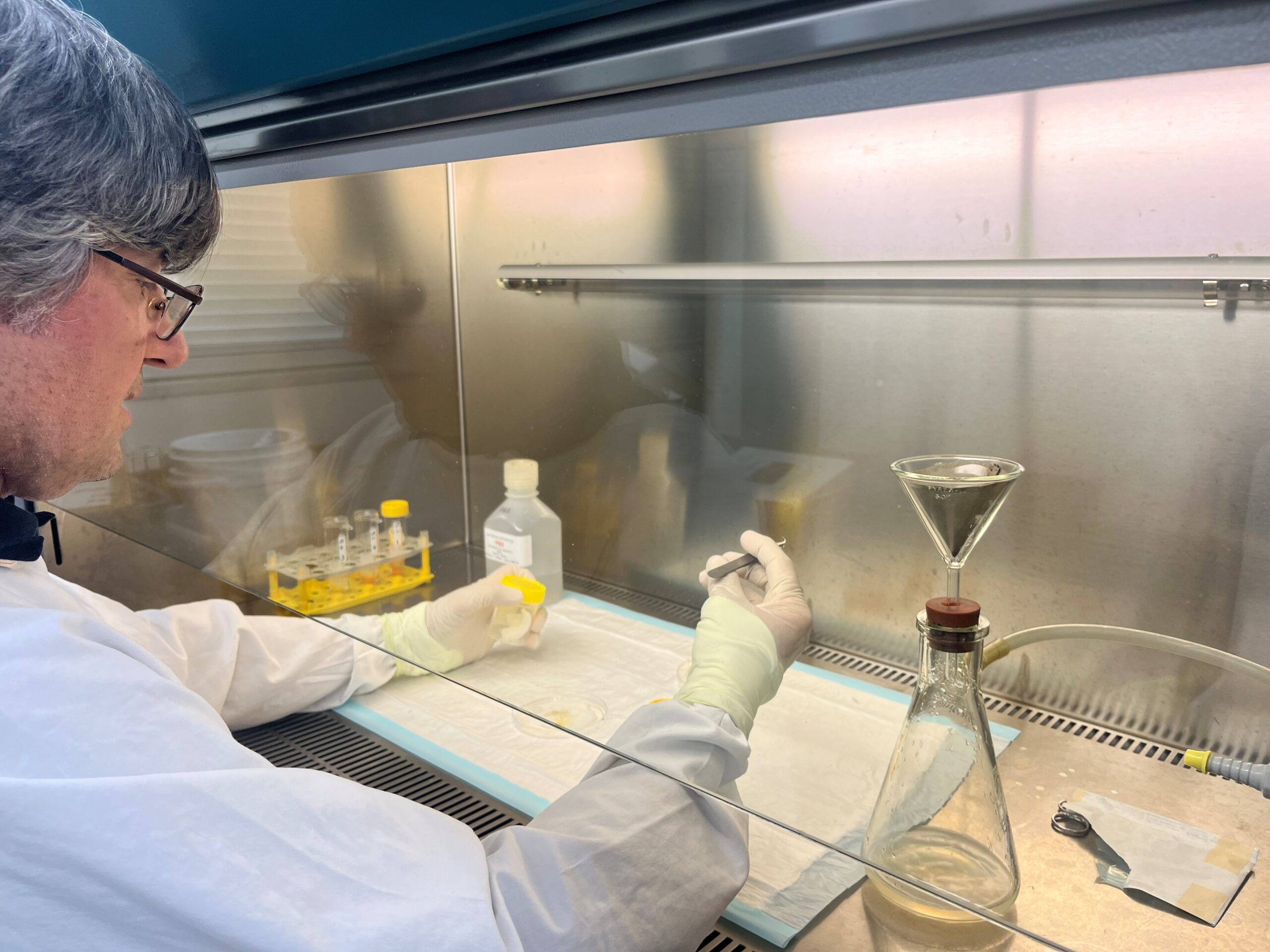 A man sits at a laboratory fume hood working on a small dish filled with maggots.