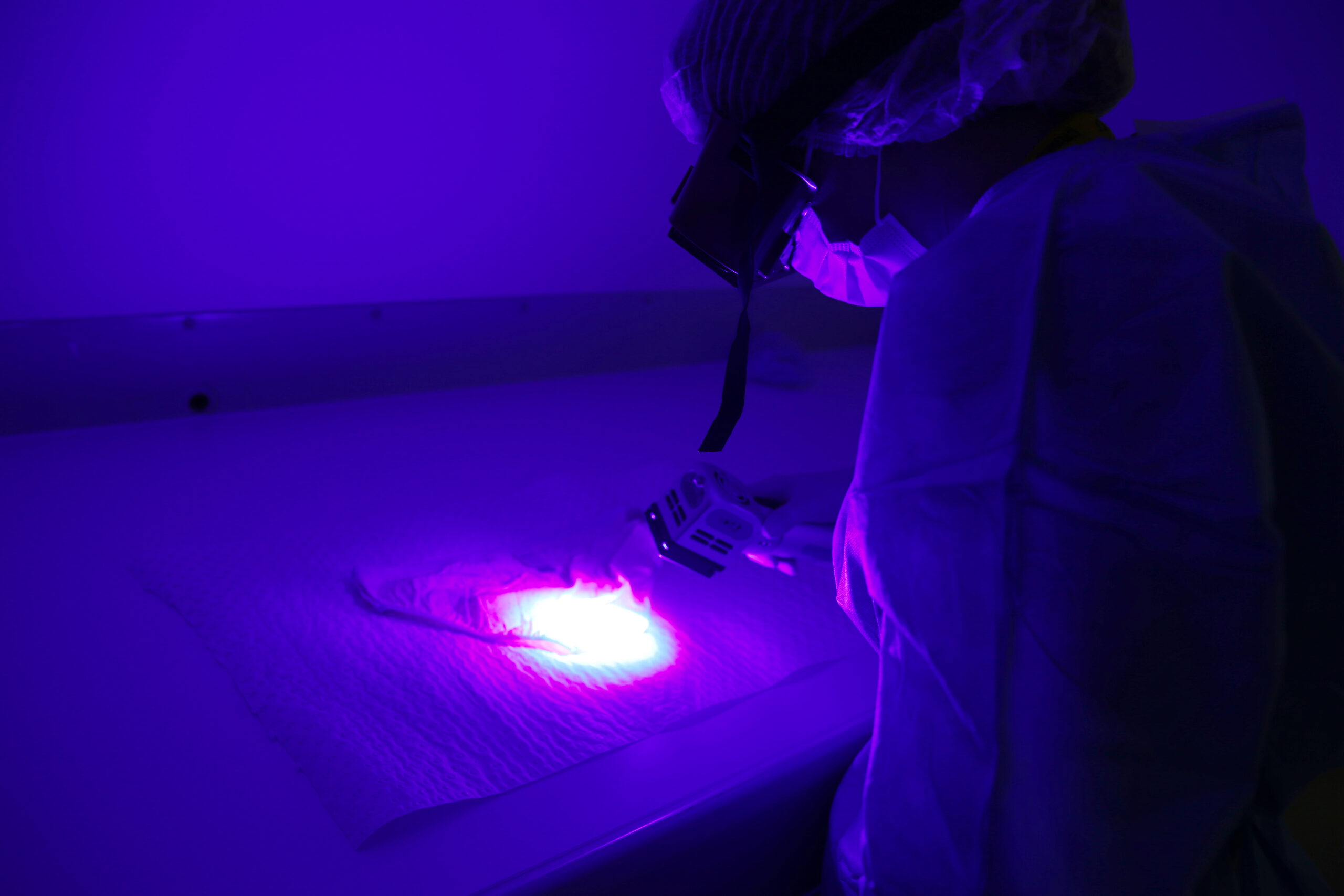 Forensic DNA experts put hundreds of ‘cold-case’ sexual assaults back under the spotlight 2 A woman works in a laboratory under a purple 'black-light'.